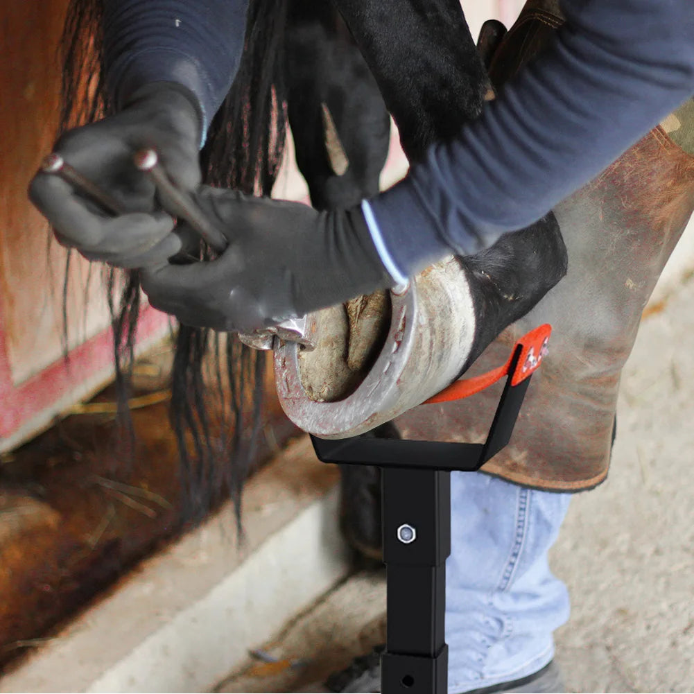 Sturdy Metal Adjustable Farrier Hoof Stand For Horses
