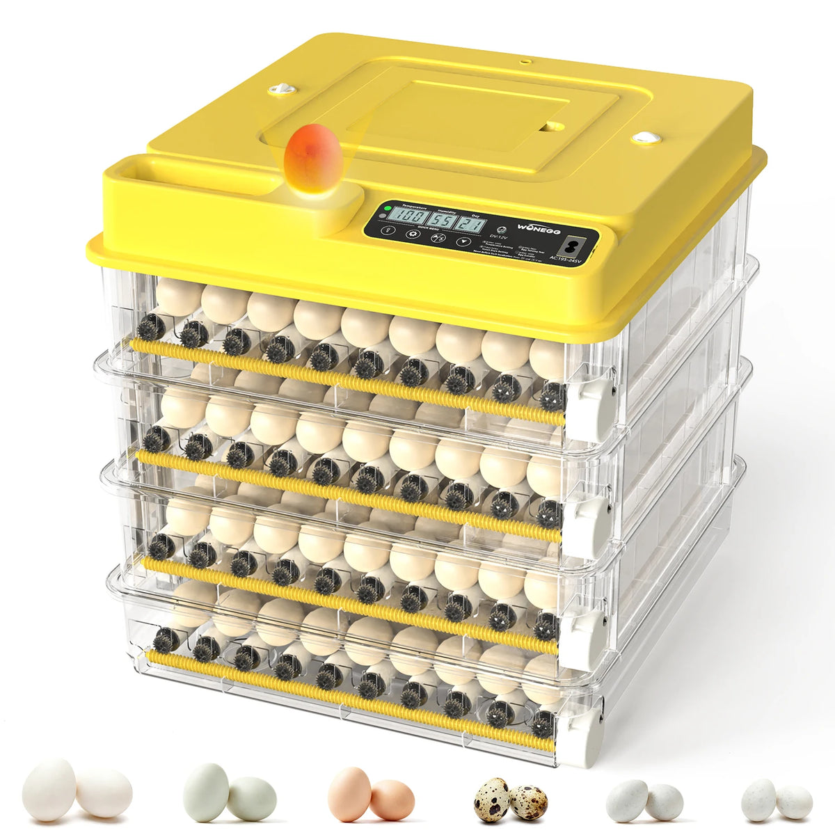 Fully Automatic Egg Incubator for Hatching Chicken and Duck Eggs