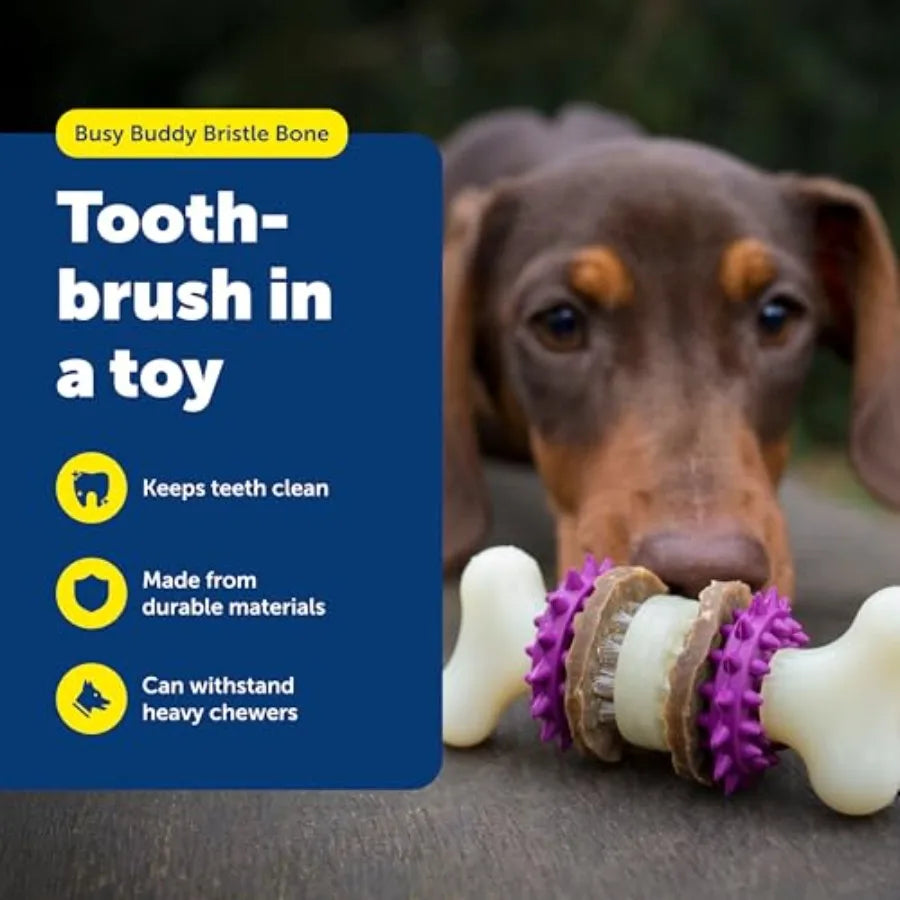 Durable Dog Chew Toy Treat Holder Toothbrush For Dental Cleaning