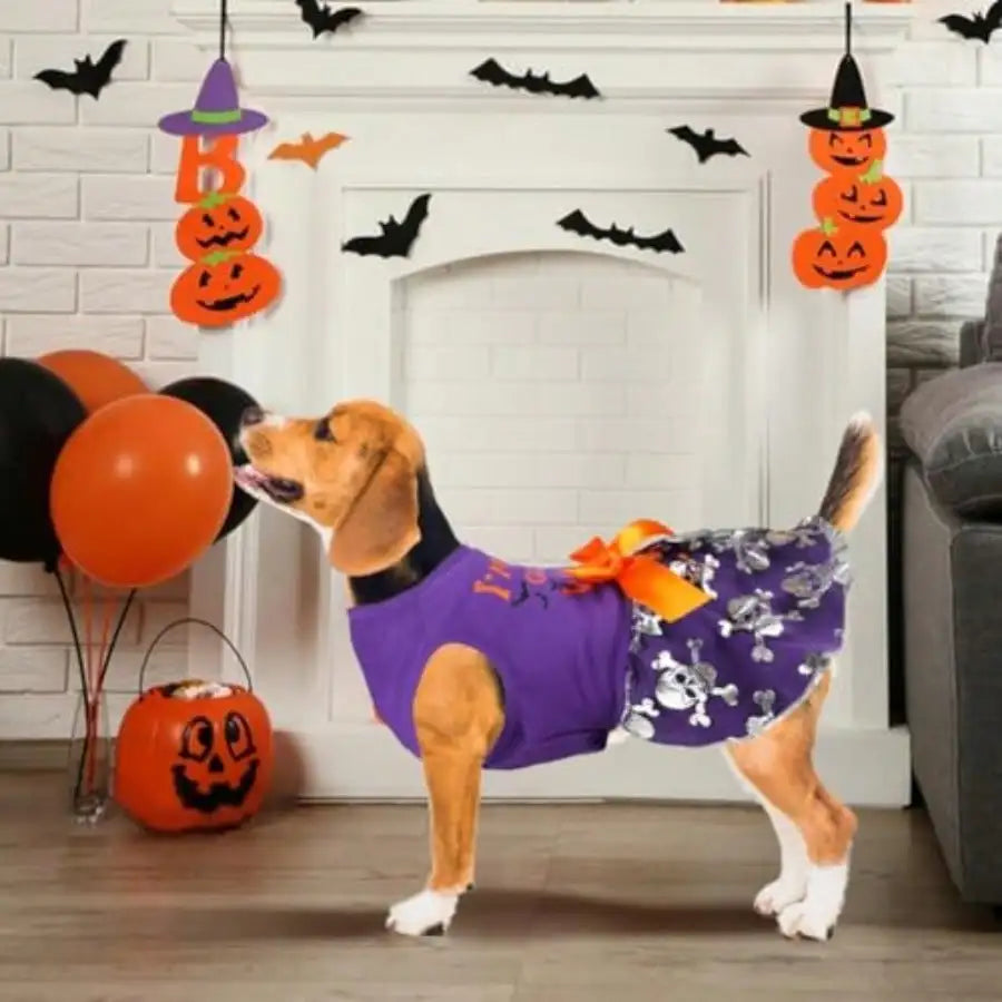 Dog Halloween Costume Dress With Bow Pumpkin Witch Bat Outfit