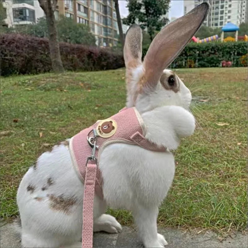 Rabbit Harness And Leash Set For Outdoor Walking Pets