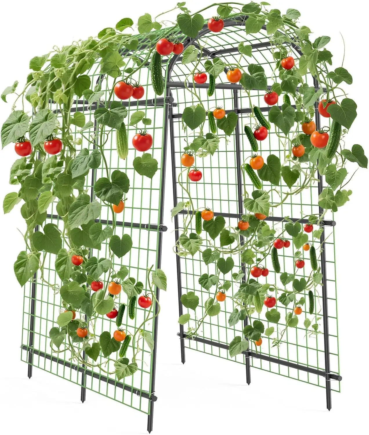Garden Arch Trellis, 7.5FT Extra Tall Polyethylene-Coated Stainless Steel Garden Trellis for Cucumbers, Melons, Vegetables, Peas, Tomatoes & Climbing Vegetables, Outdoor Rust-Resistant Trellis