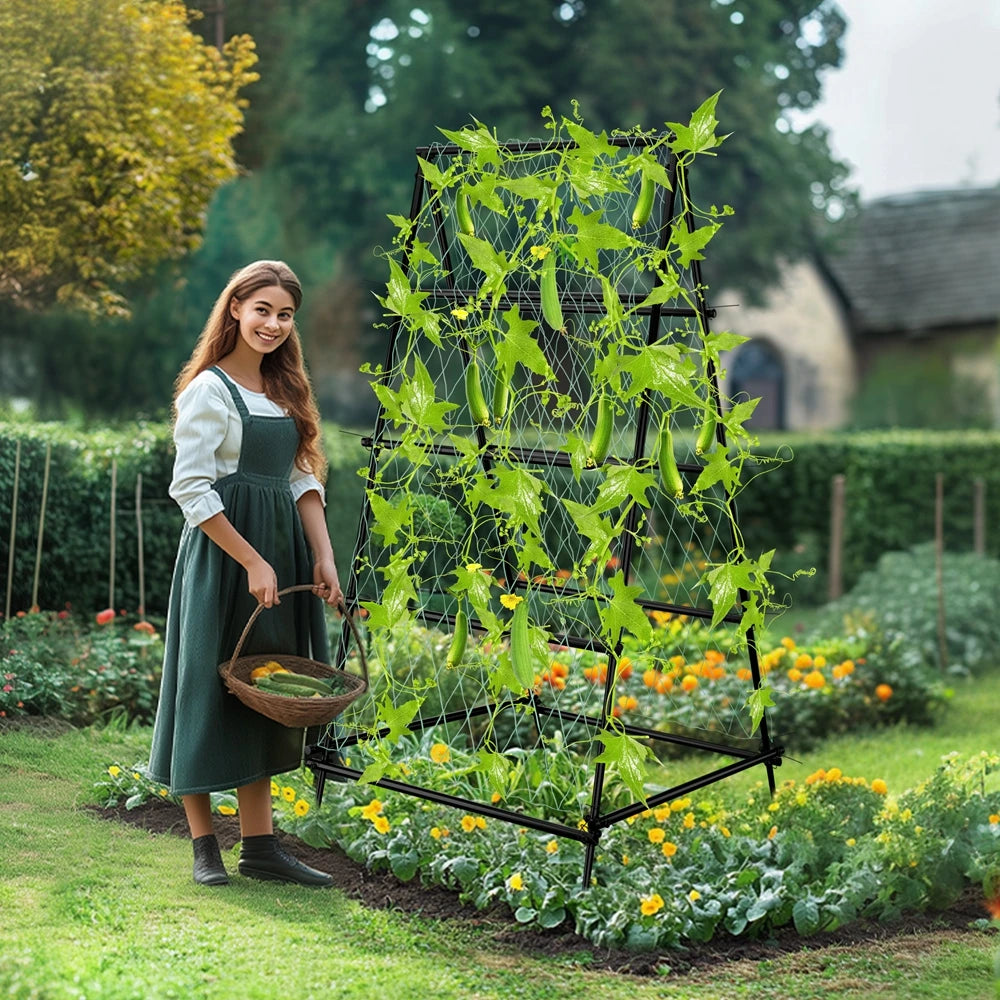 Wisfor Metal A Shaped Garden Trellis Arch Plant Support