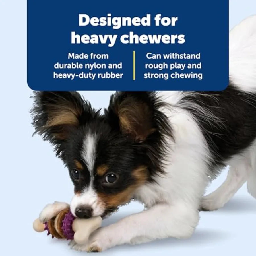 Durable Dog Chew Toy Treat Holder Toothbrush For Dental Cleaning