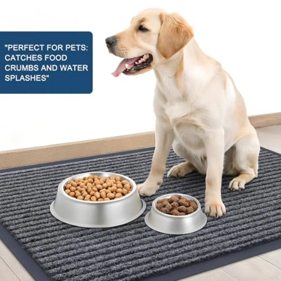 Front Door Mat Indoor Outdoor Entrance, 2-Pack 29.5 x 17 Inch, Waterproof Heavy Duty Doormat, Fade Resistant, Low Profile, Easy