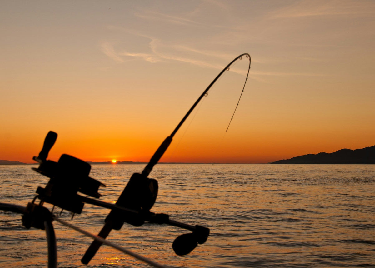 Fishing, Crabbing