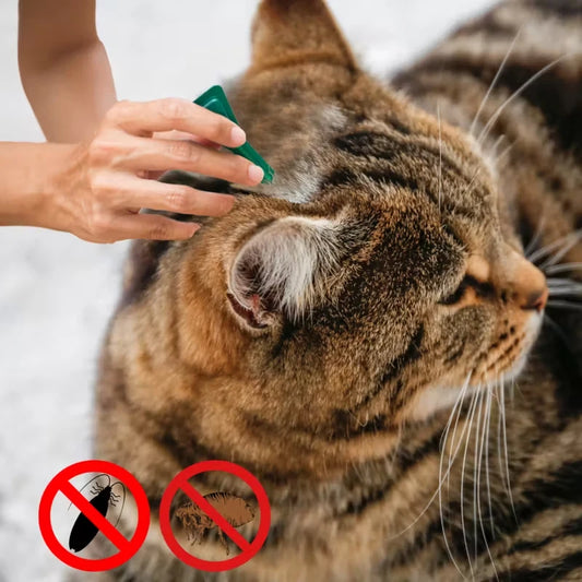 Flea And Tick Drops For Pets External Parasite Protection