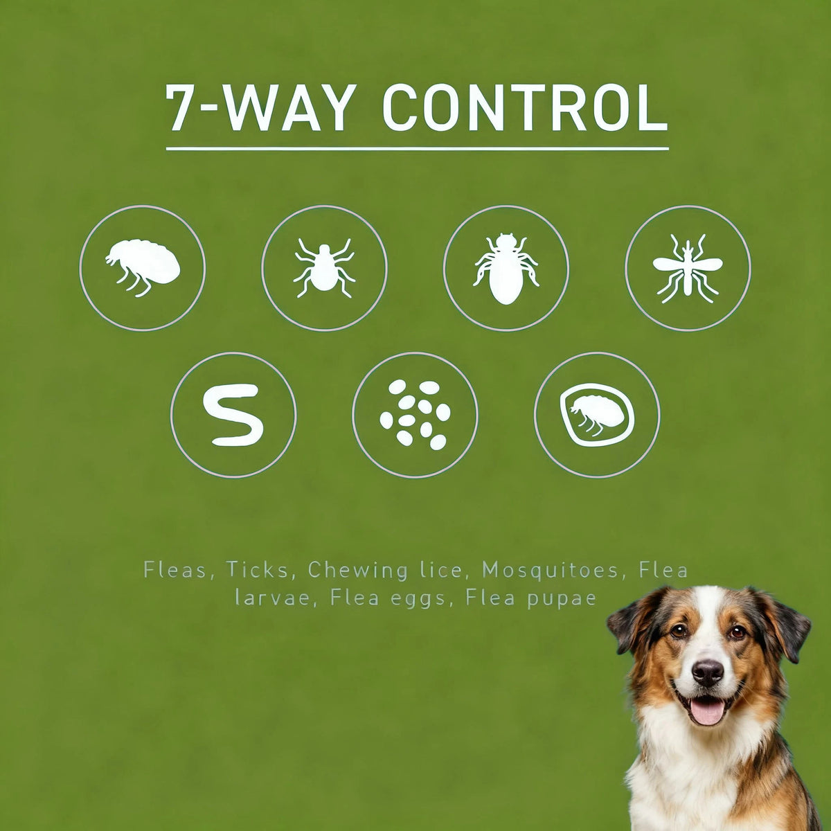 Flea And Tick Drops For Pets External Parasite Protection