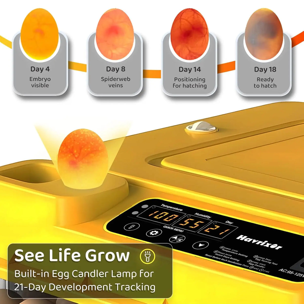 Fully Automatic Egg Incubator for Hatching Chicken and Duck Eggs