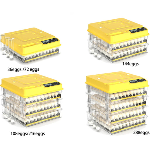 Fully Automatic Egg Incubator for Hatching Chicken and Duck Eggs