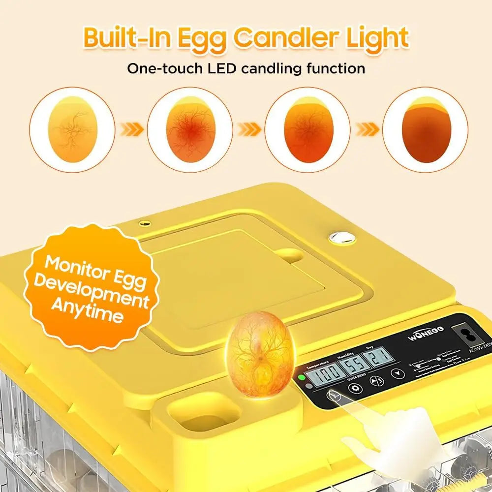 Fully Automatic Egg Incubator for Hatching Chicken and Duck Eggs