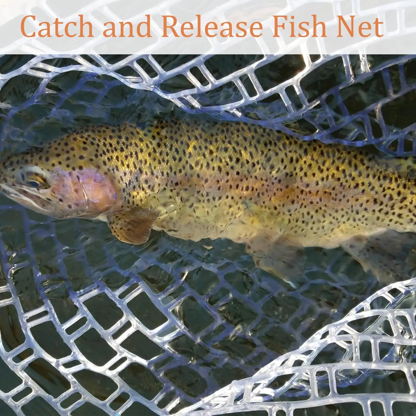 Soft Rubber Fly Fishing Net Wooden Handle Catch And Release