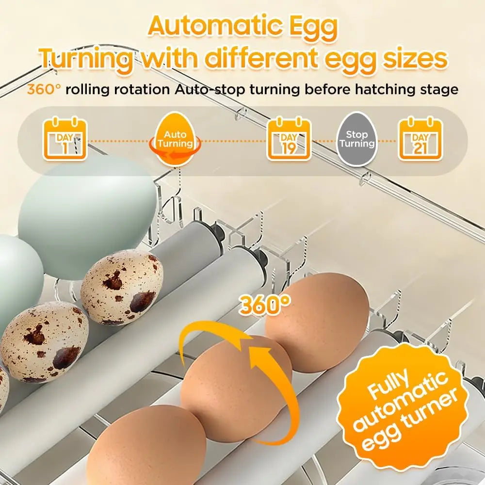 Fully Automatic Egg Incubator for Hatching Chicken and Duck Eggs