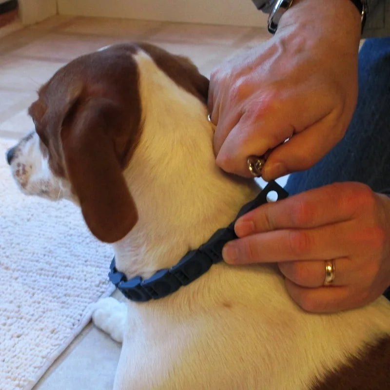 Don Sullivan Perfect Dog Command Collar Reduce Pulling Jumping Pinch Training for Medium/Large Dogs