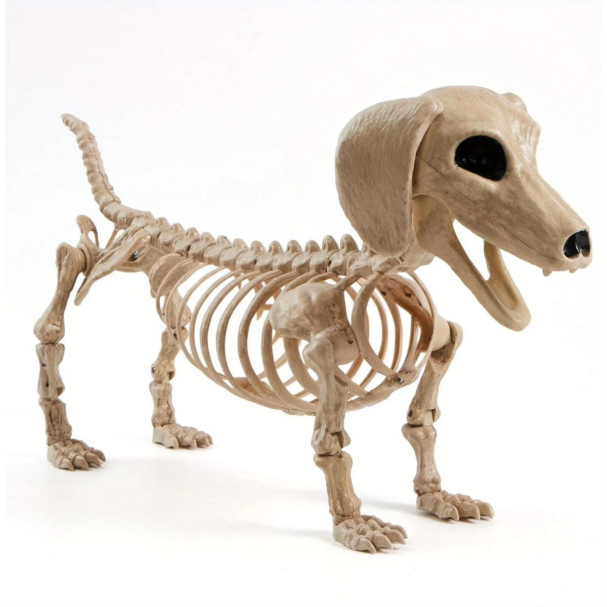 Spooky Wiener Dog Skeleton Posable Haunted House Halloween Prop Decor
