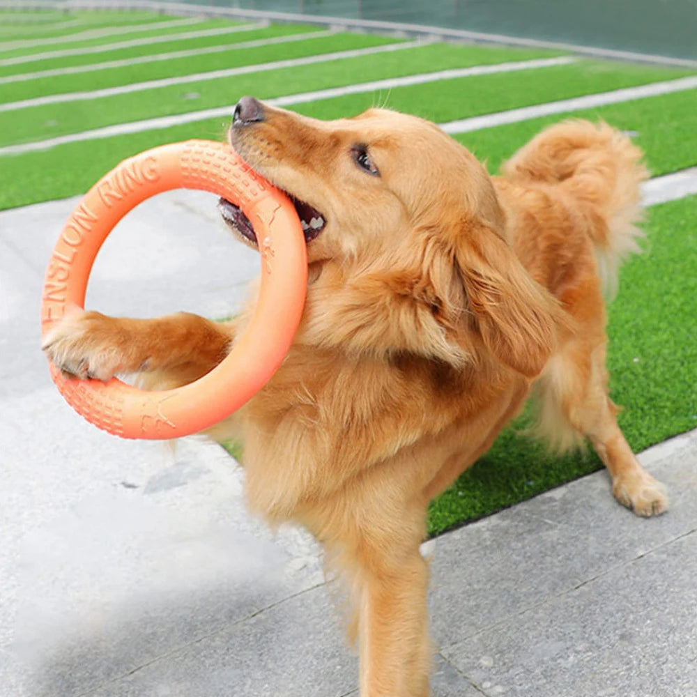 Resistant Interactive Dog Training Ring Puller Flying Disc Toy