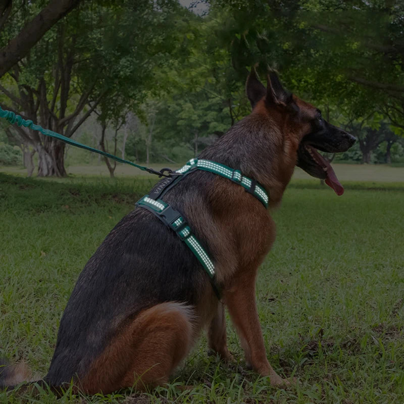 MeowVista Adjustable Nylon Reflective Dog Harness Vest