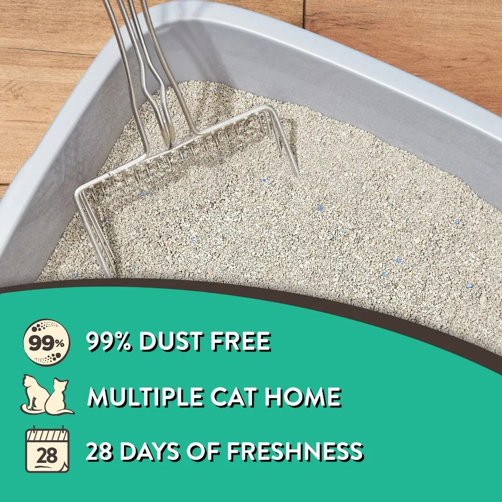 Special Kitty Clumping Cat Litter Fresh Scent Odor Control