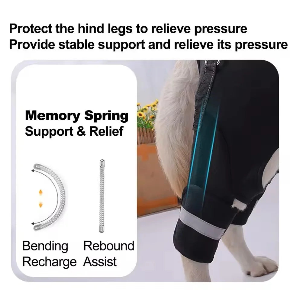 Adjustable Dog Hip Support Leg Brace With Lift Harness
