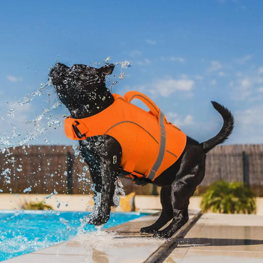 Tear Resistant Mesh Dog Life Jacket With Ergonomic Handle