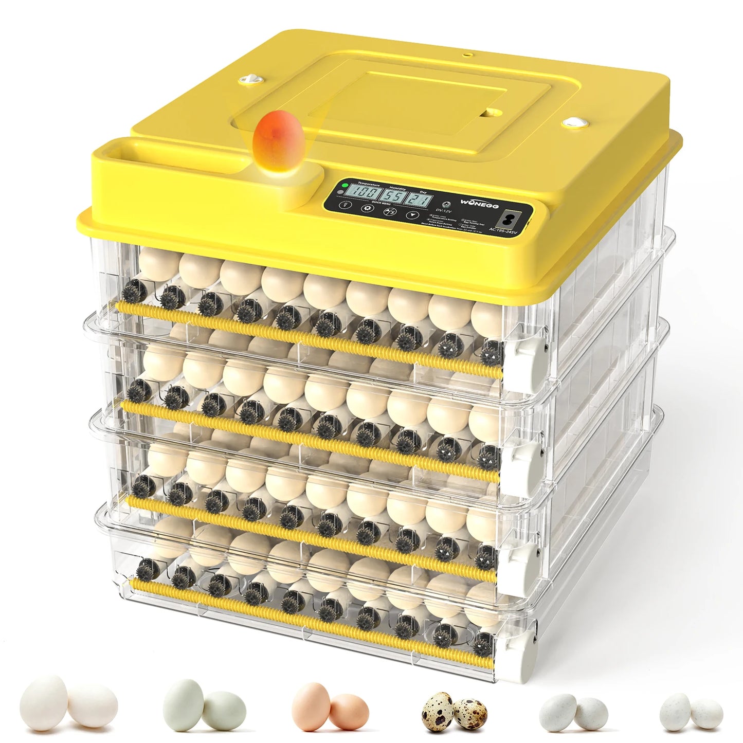 Fully Automatic Egg Incubator for Hatching Chicken and Duck Eggs