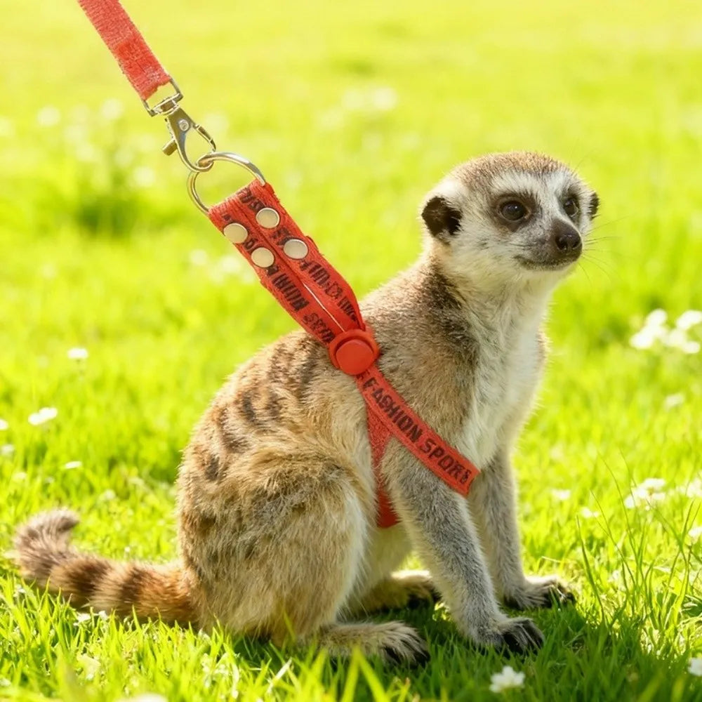 Adjustable Escape Proof Pet Harness And Leash For Small Pets