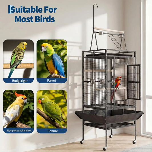 Spacious Indoor Metal Bird Cage With Play Top Stand