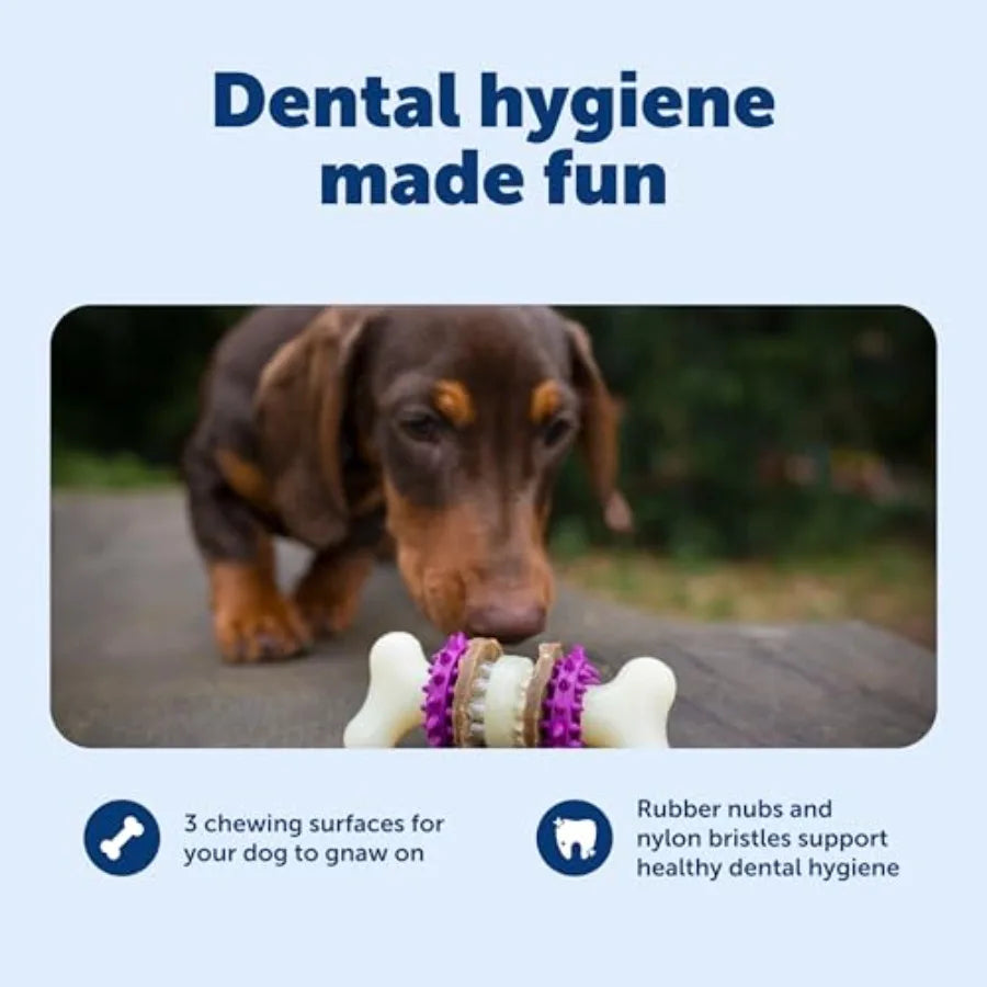 Durable Dog Chew Toy Treat Holder Toothbrush For Dental Cleaning