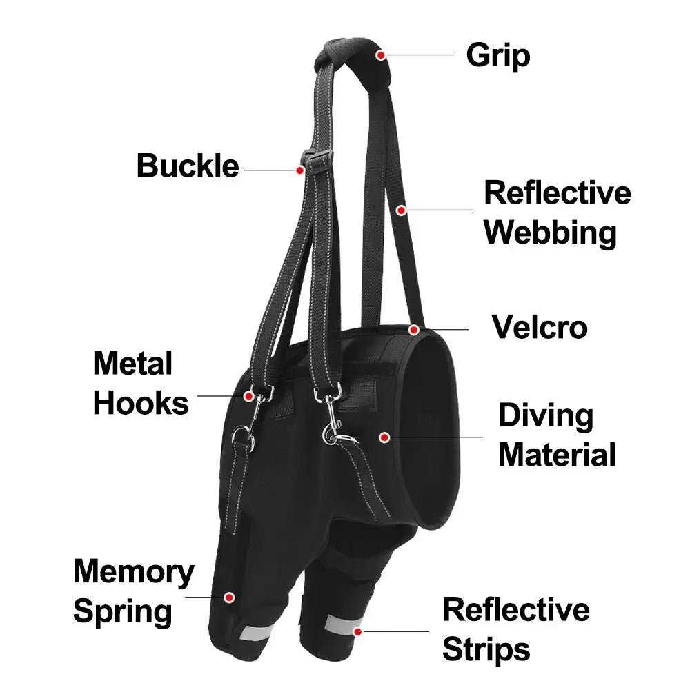 Adjustable Dog Hip Support Leg Brace With Lift Harness