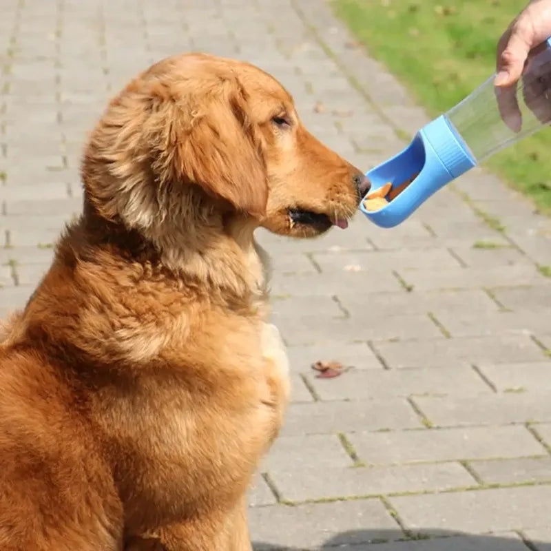 Portable Dog Water Bottle With Integrated Food Container For Pets