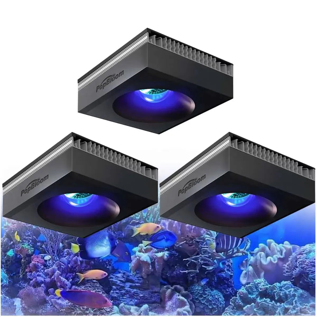 PopBloom 100W WiFi Reef Aquarium LED Light Clip On Marine