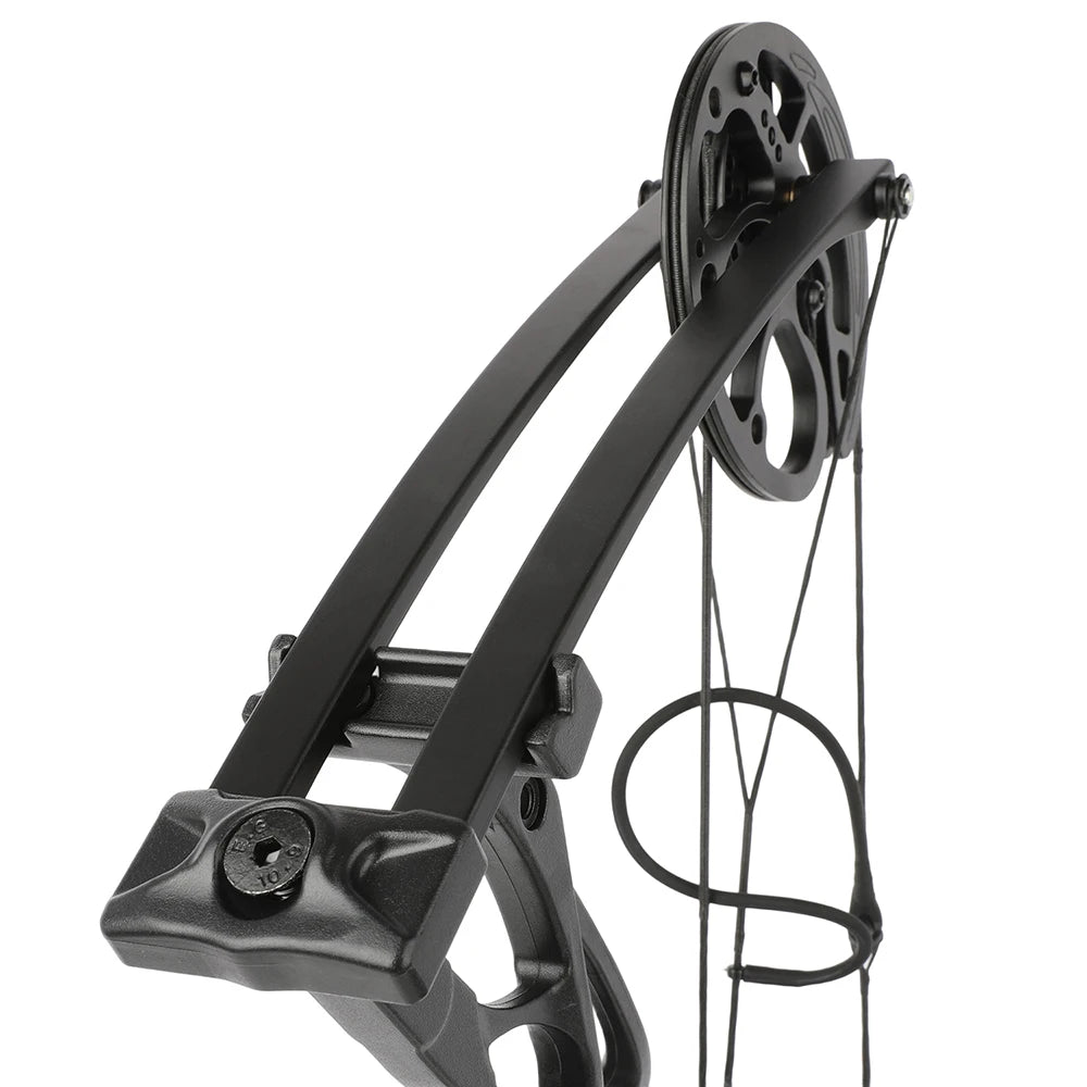 Compound Bow 0-70lbs Adjustable 80% Let-off 325fps Aluminum Alloy Riser Right Hand for Hunting Shooting Outdoor Target Practice