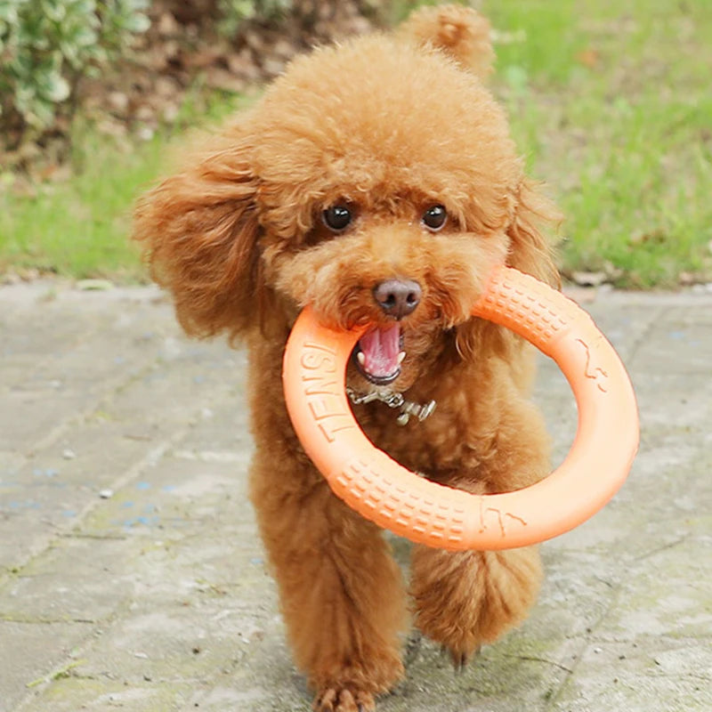 Resistant Interactive Dog Training Ring Puller Flying Disc Toy