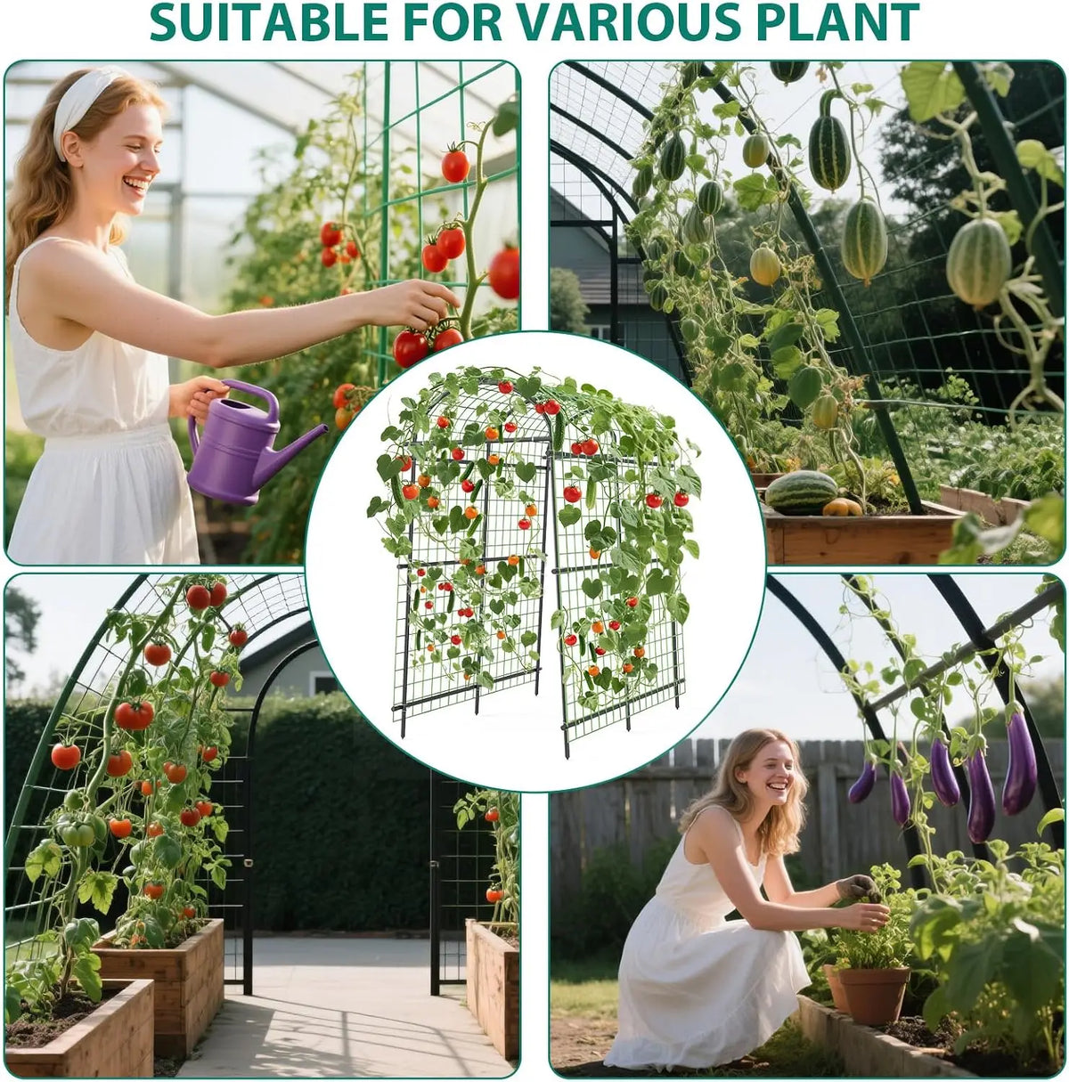 Tacleekii 7.5FT Tall Metal Garden Arch Trellis U-Shape for Raised Beds Plant Support Rust Resistant Coating, Tool Free Plug In, Lifts Fruit Off Ground, For Cucumber Grapes Roses Cucumber, Backyard Archway
