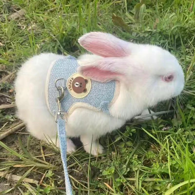 Rabbit Harness And Leash Set For Outdoor Walking Pets