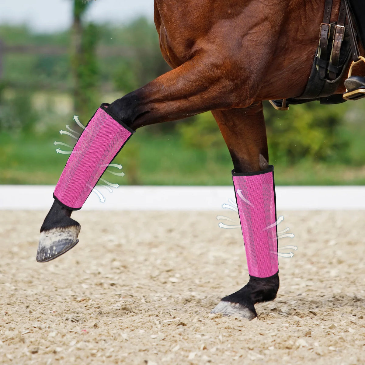 Alloyseed Breathable Mesh Horse Fly Protective Boots Cover