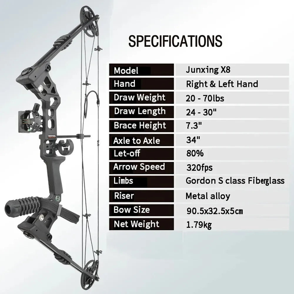 Dual Purpose Compound Bow Set Steel Arrow Ball Target Hunting