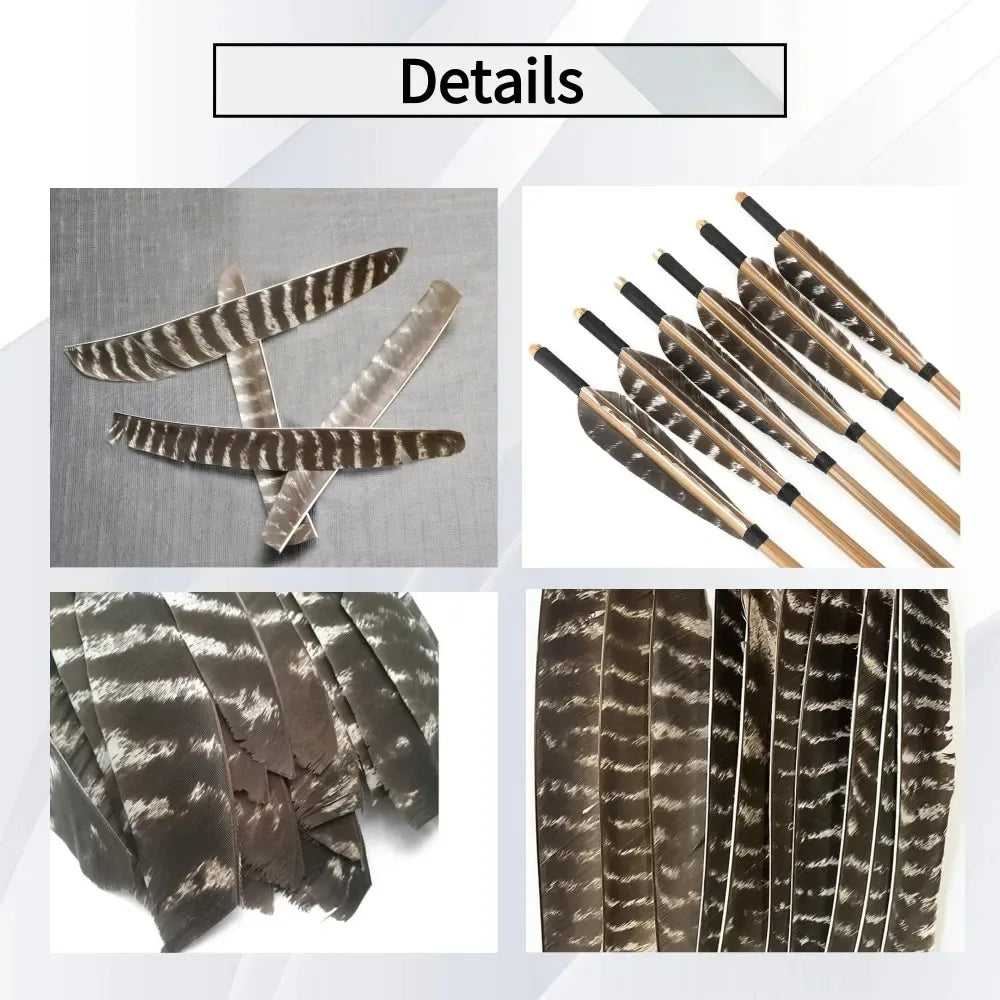 Turkey Feather Arrow Fletches 50Pcs Natural Real Turkey Vanes Left & Right Wing Pure Natural Feather Fletching DIY Replacement Parts for Carbon Aluminum Arrows Outdoor Archery Hunting Target Shooting Accessories