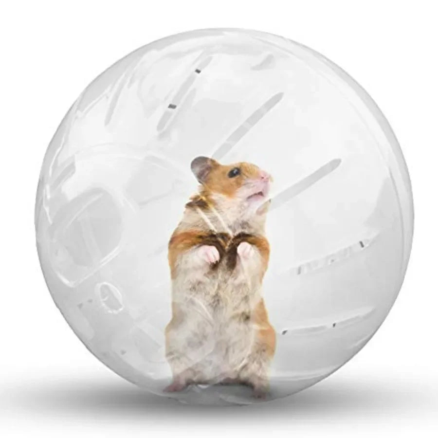 Transparent Hamster Exercise Ball For Small Animal Activities