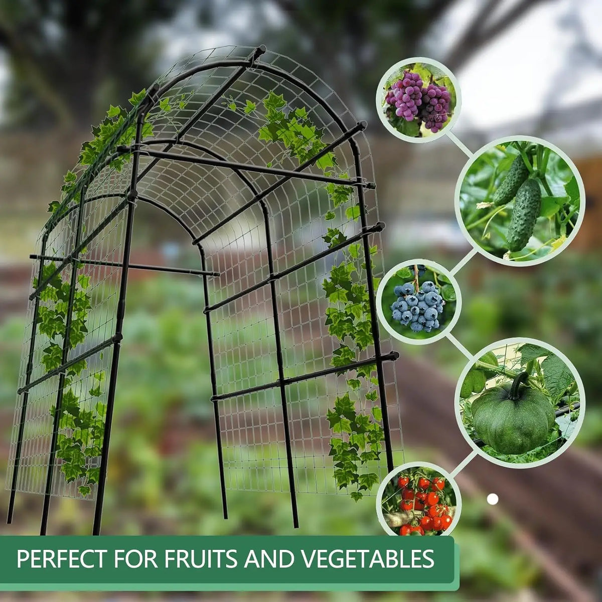Tacleekii 7.5FT Tall Metal Garden Arch Trellis U-Shape for Raised Beds Plant Support Rust Resistant Coating, Tool Free Plug In, Lifts Fruit Off Ground, For Cucumber Grapes Roses Cucumber, Backyard Archway