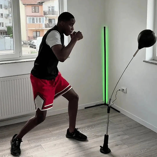 Premium Cobra Reflex Punching Bag For Boxing Agility Training