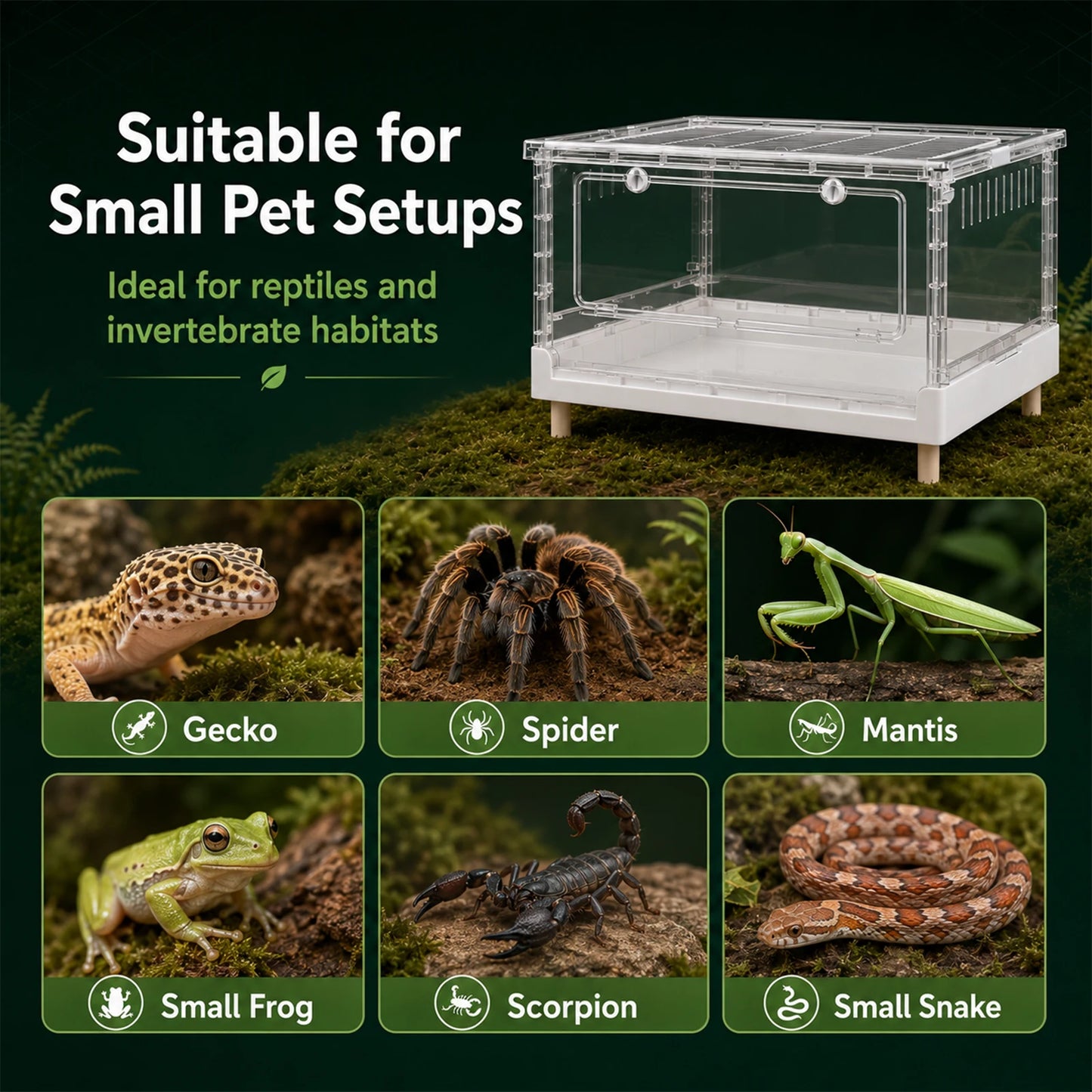 Clear Acrylic Foldable Reptile Terrarium With Front Opening Door