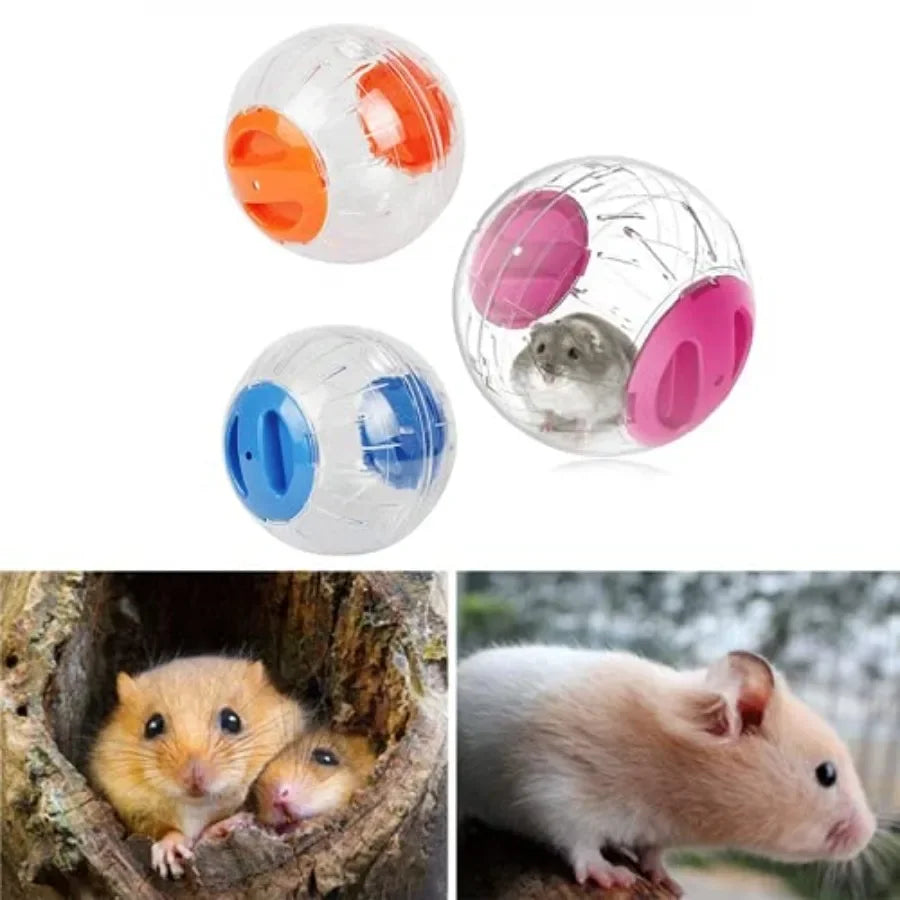 Transparent Hamster Exercise Ball For Small Animal Activities