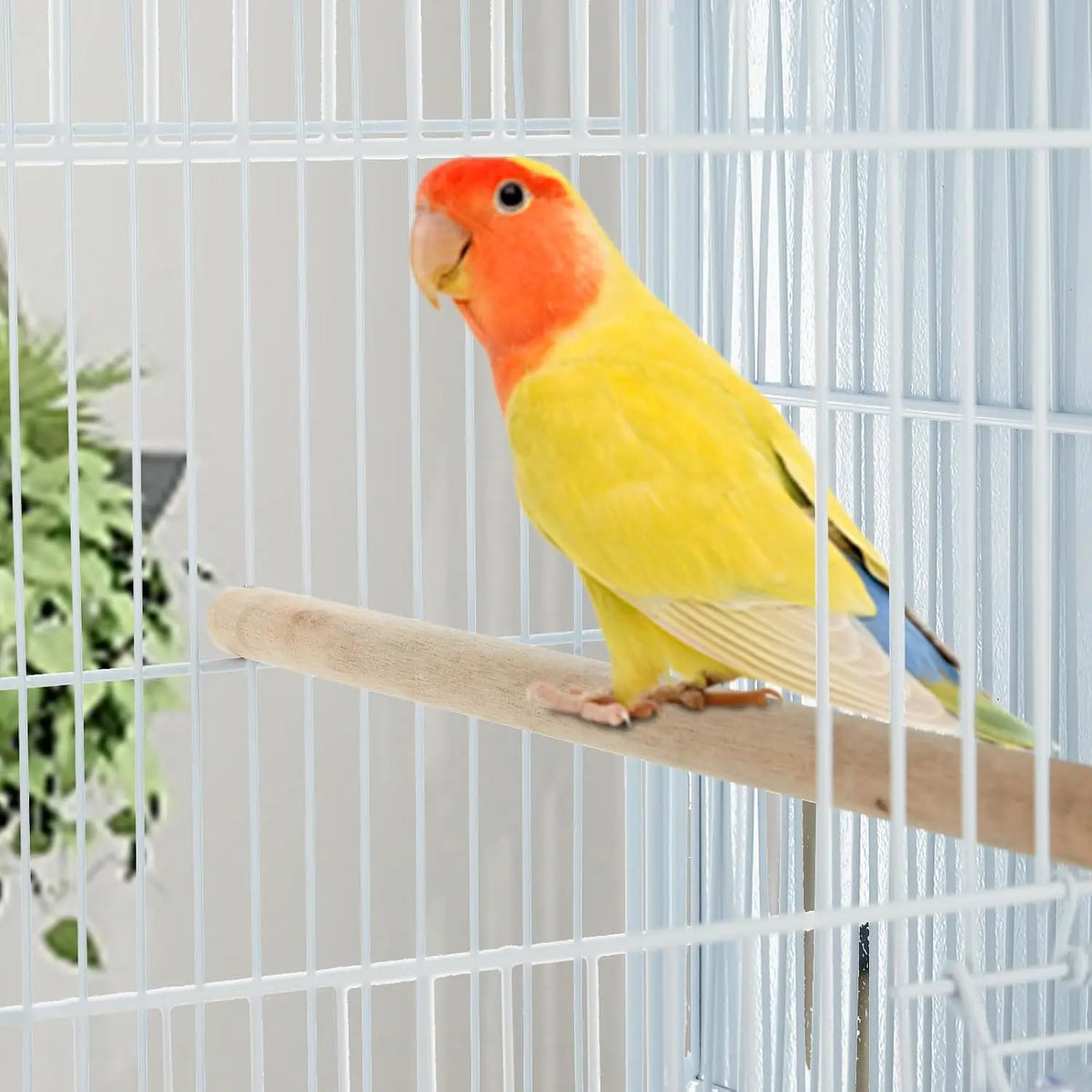 Stackable Iron Bird Cage With Storage Shelf And Locking Casters