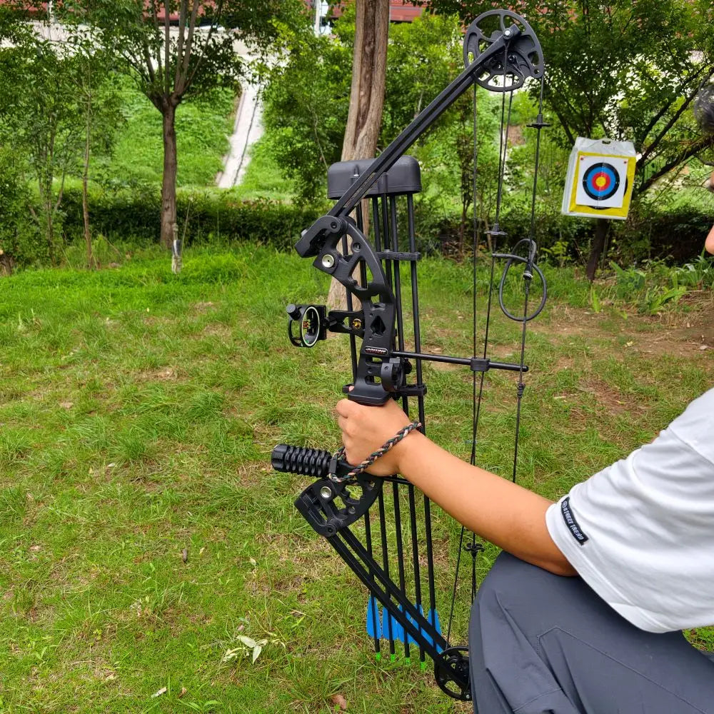 Dual Purpose Compound Bow Set Steel Arrow Ball Target Hunting