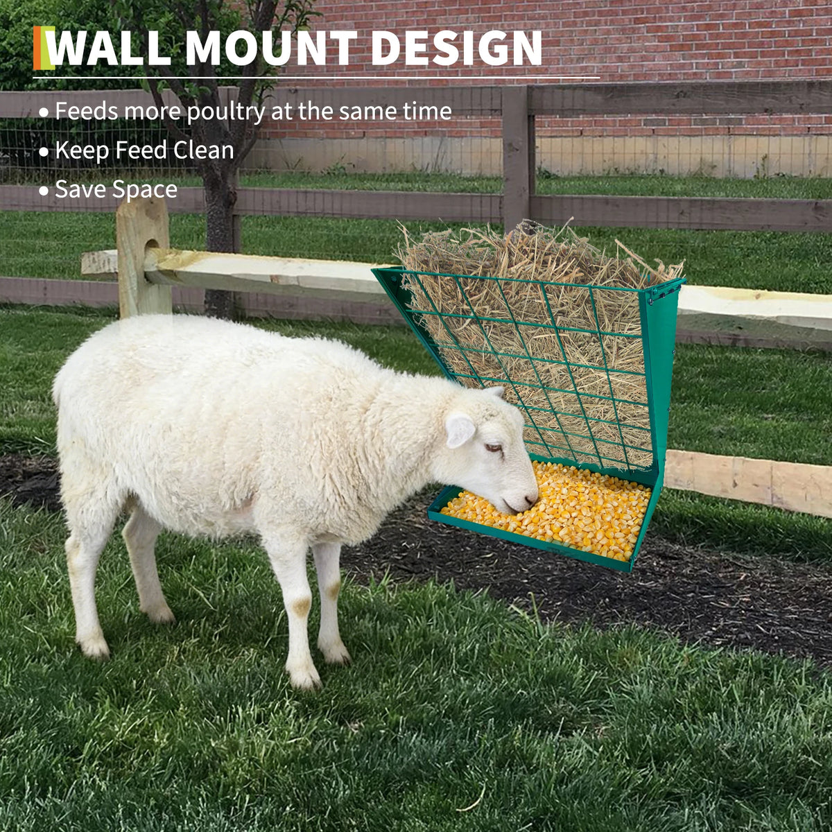 Wall Mounted Metal Hay And Grain Feeder For Livestock