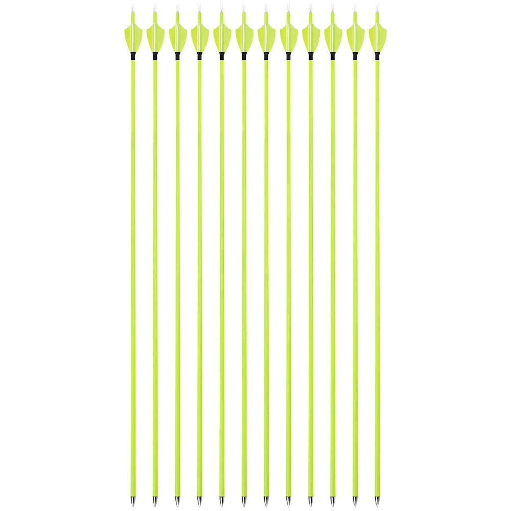 30" Carbon Archery Arrows 12 Pack Spine1500 ID4.2mm Vanes Equipment for Outdoor Shooting Training and Small Game Hunting
