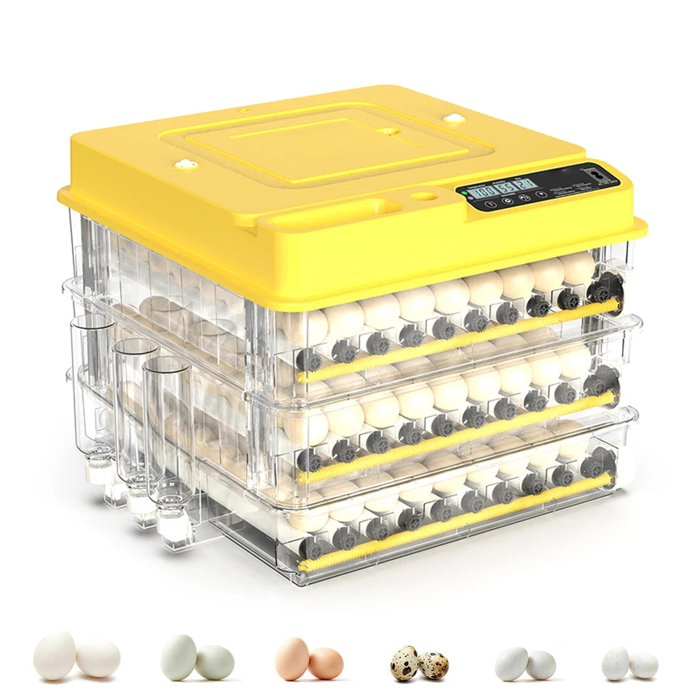 Fully Automatic Egg Incubator for Hatching Chicken and Duck Eggs