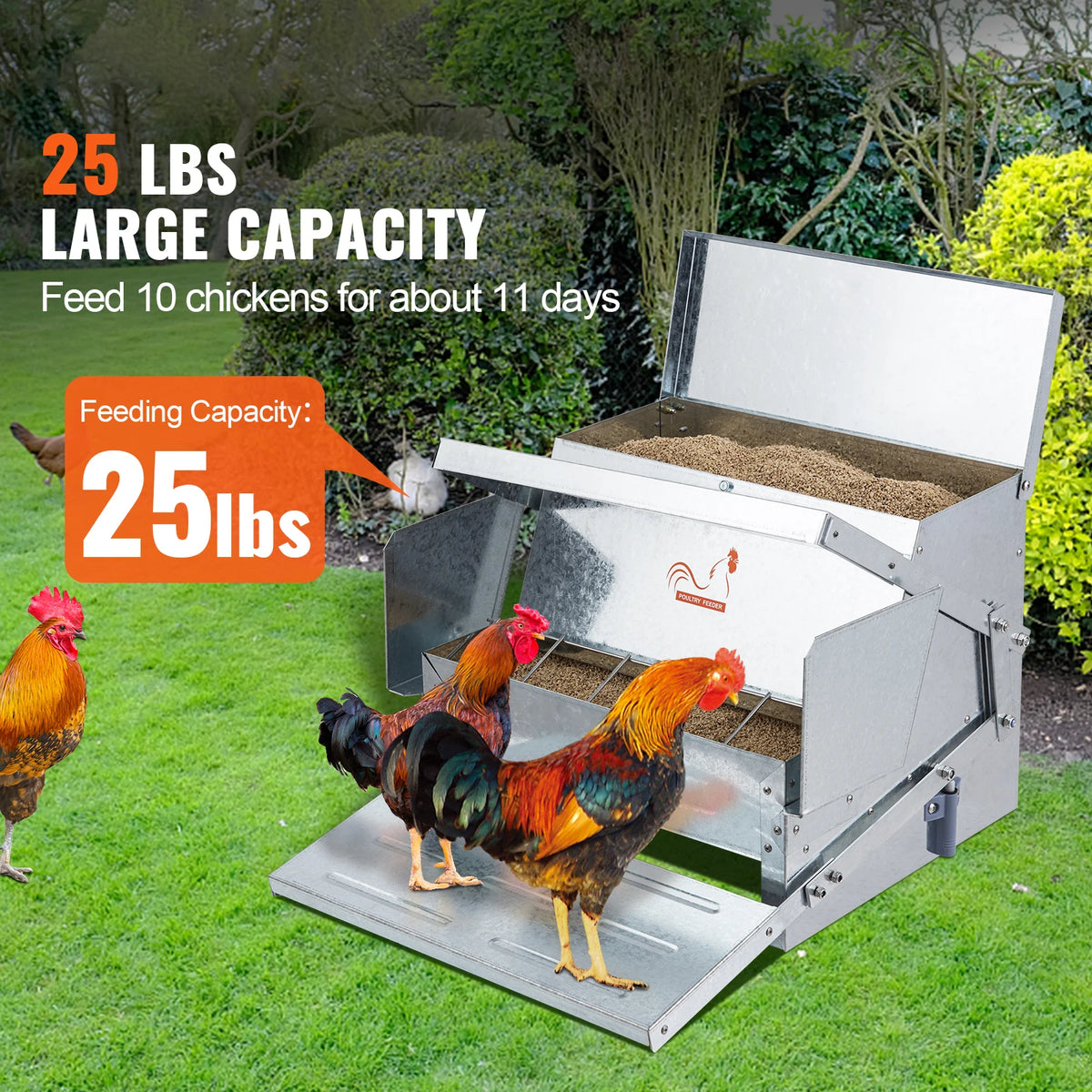 SucceBuy Automatic Galvanized Steel Chicken Poultry Feeder