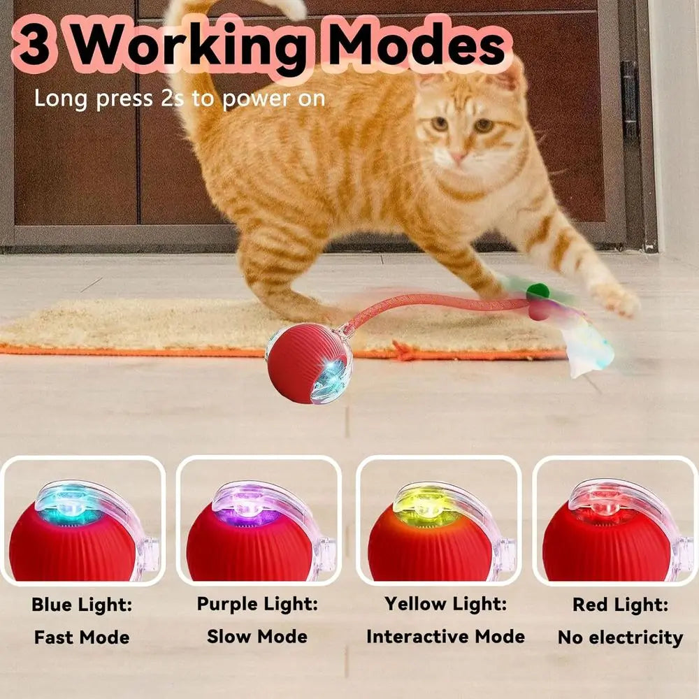 Automatic Interactive Cat Toy With Rolling Electric Ball Mechanism